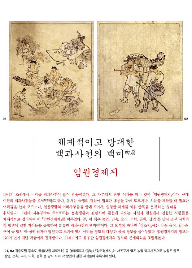 체계적이고 방대한 백과사전의 백미白眉 임원경제지