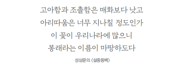 고아함과 조촐함은 매화보다 낫고 아리따움은 너무 지나칠 정도인가 이 꽃이 우리나라에 많으니 봉래라는 이름이 마땅하도다 성삼문의 