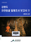 강원도 천연동굴 일제조사 보고서 IV(2014) 이미지