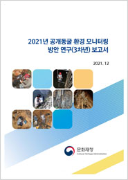 2021년 공개동굴 환경 모니터링 방안 연구(3차년) 보고서 이미지