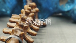 대한민국 자연유산보존의 심장 천연기념물센터 재개관 티저영상 (매머드복원)