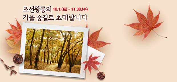 조선왕릉의 가을 숲길로 초대합니다 10.1.(토)~11.30.(수)