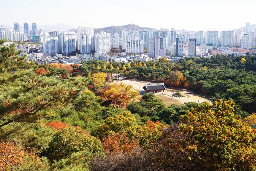 서울 의릉 전경(이정근 작가 촬영)