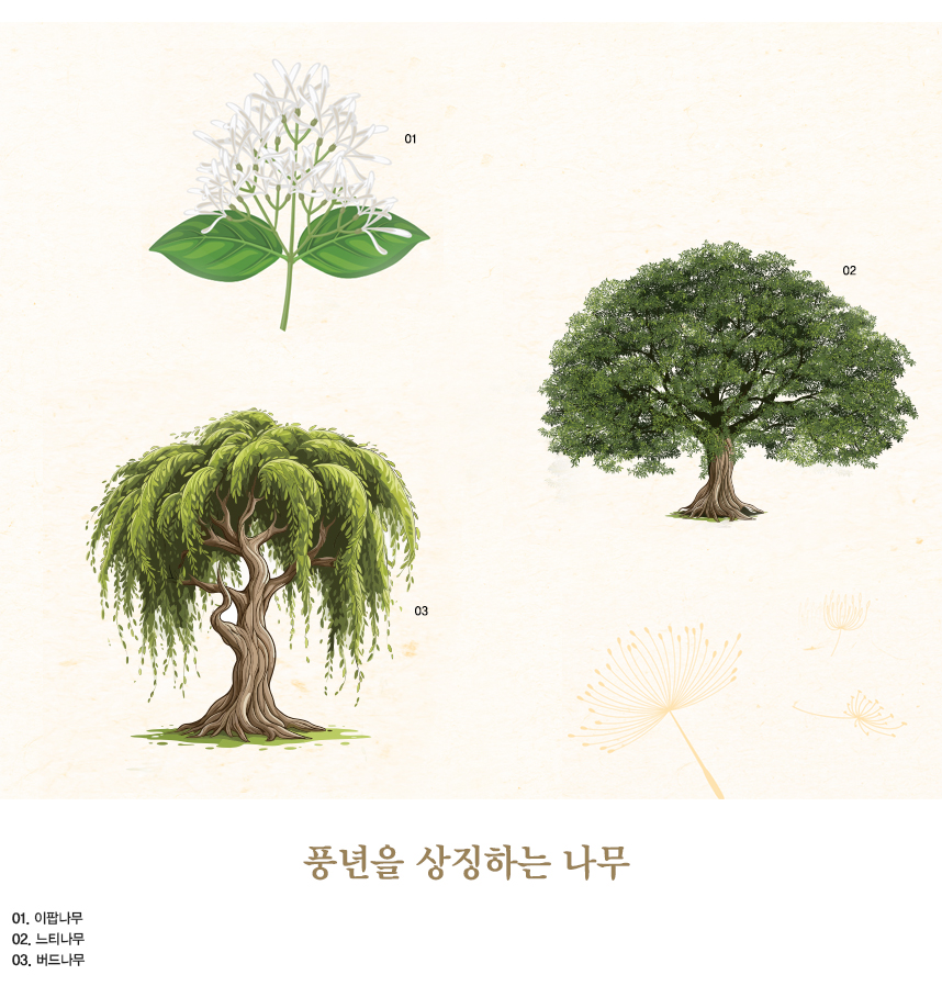 풍년을 상징하는 나무 01.이팝나무 02.느티나무 03.버드나무