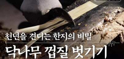 [K-힐링 이미지] 한지장 닥나무 껍질 벗기기