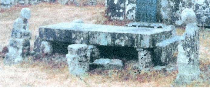 [도난] 함양 남원양씨 구졸암 묘의 석조물 [동자석 향로석 초대석]이미지 1