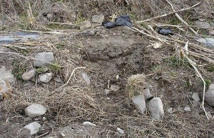 [도난] 경주 황룡사지 서쪽 외곽부근 석조물[초석]이미지 2