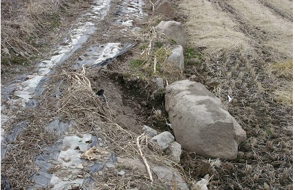 [도난] 경주 황룡사지 서쪽 외곽부근 석조물[초석]이미지 3