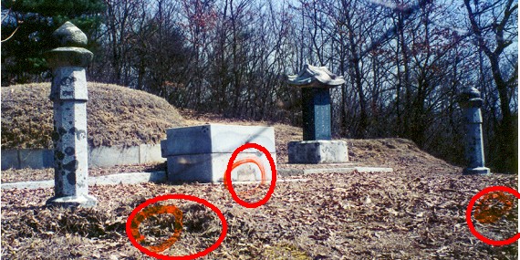 [도난] 성남 · 광주 덕수이씨 묘의 「양석 · 향로석」이미지 1